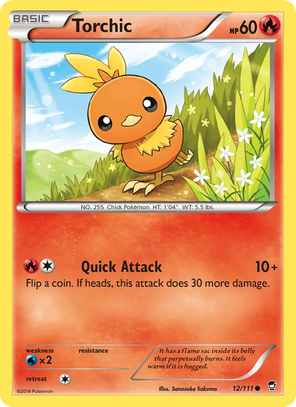 Torchic (City Championships) [Staff]