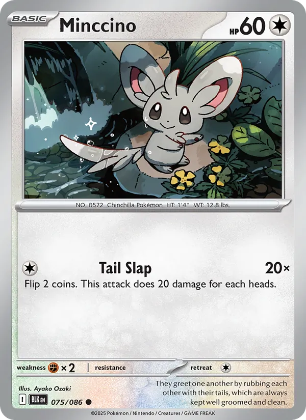 Minccino (Poke Ball Pattern)