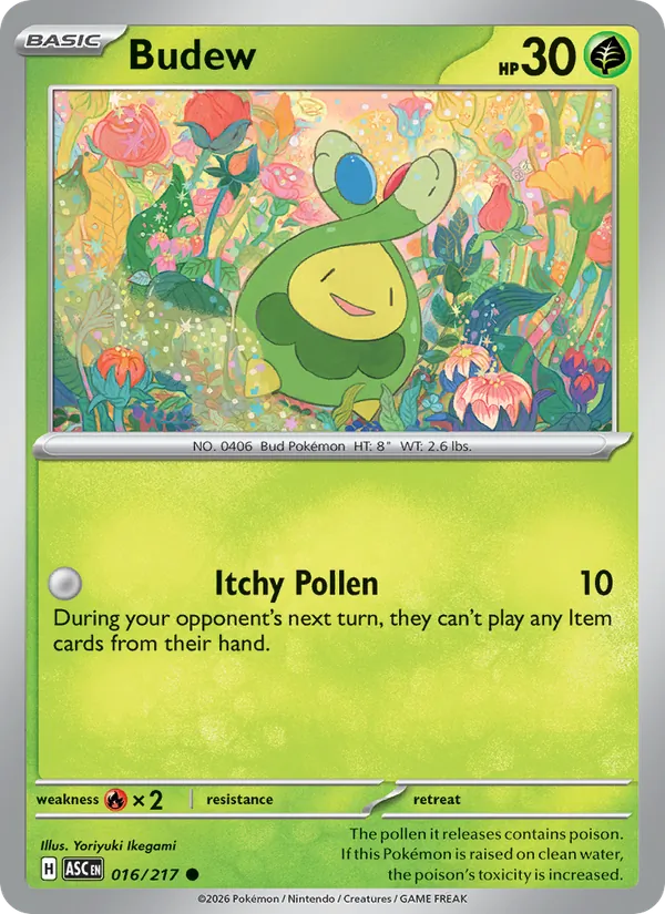 Budew (Friend Ball)