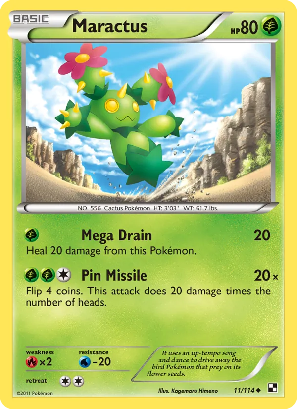 Maractus (11)